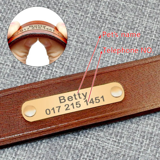 Custom Leather Dog Collars with Engraved ID Tags