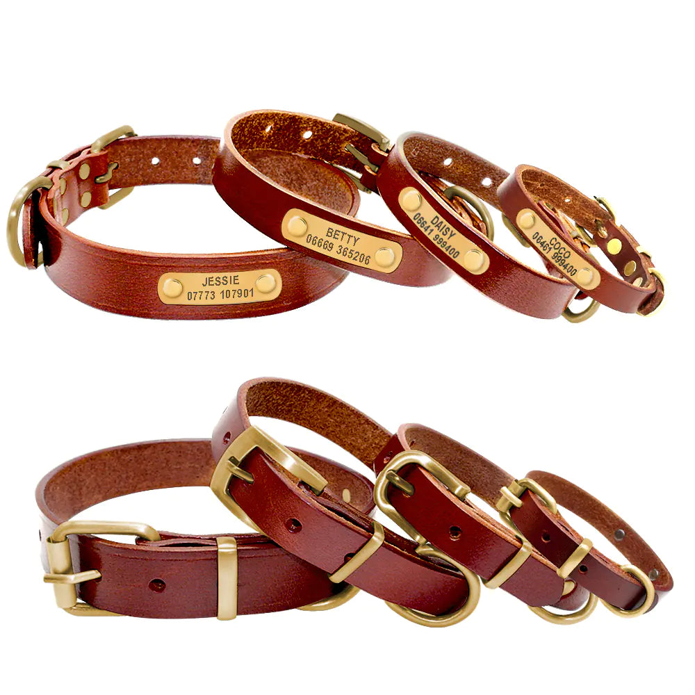 Custom Leather Dog Collars with Engraved ID Tags